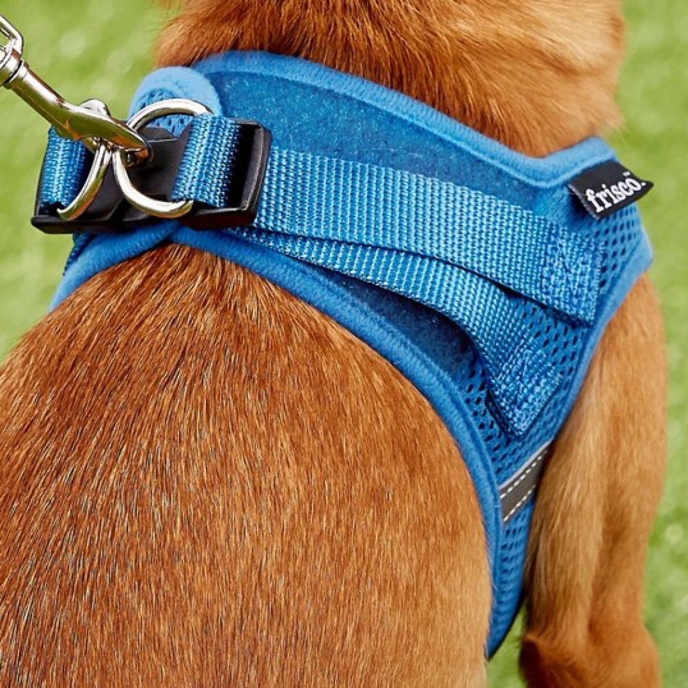 Small Dog Harness